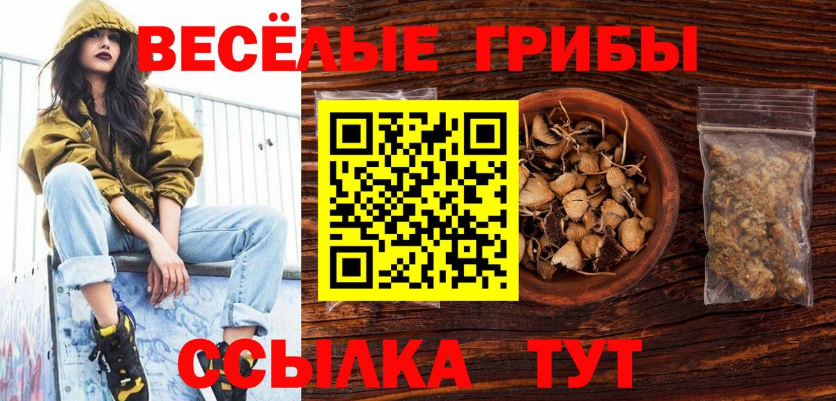 дарнет шоп  Псилоцибиновые грибы мухоморы  Вход с VPN  Корсаков 