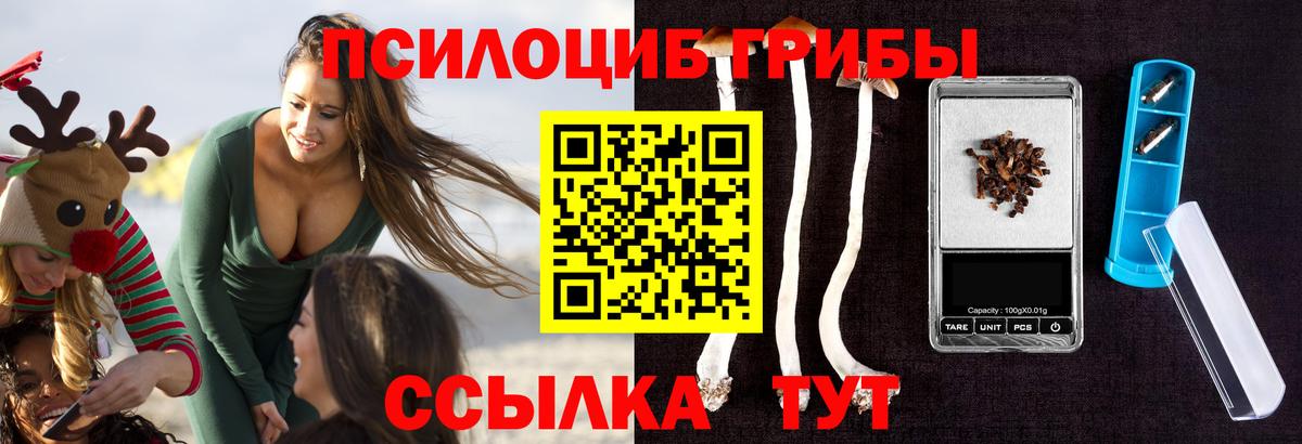 Псилоцибиновые грибы Psilocybine cubensis Корсаков